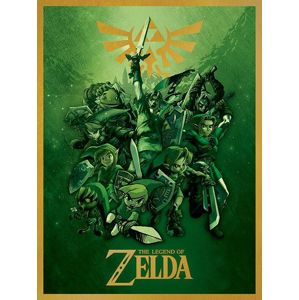 The Legend Of Zelda Link Fighting tisk na plátne standard