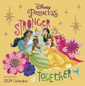 Disney Princess Kalendář na zeď 2024 Nástenný kalendář vícebarevný