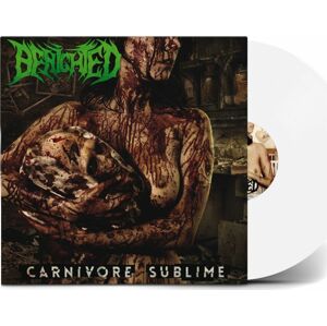 Benighted Carnivore sublime LP barevný