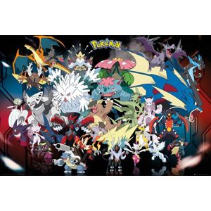 Pokémon Mega plakát vícebarevný