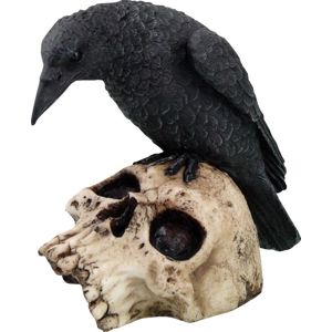 Nemesis Now Ravens Remains - Rabe auf Totenschädel figurka standard