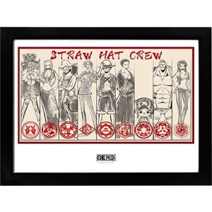 One Piece Straw Hat Crew Zarámovaný obraz vícebarevný