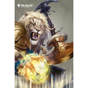 Magic: The Gathering Ajani plakát vícebarevný