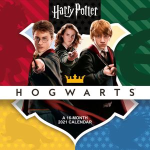 Harry Potter Nástěnný kalendář 2021 - Hogwarts Nástenný kalendár vícebarevný