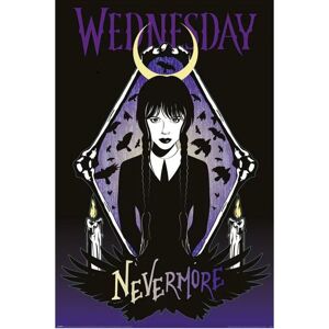 Wednesday Ravens plakát vícebarevný