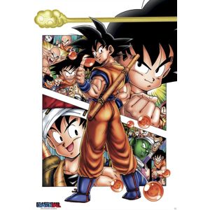Dragon Ball Son Goku Story plakát vícebarevný