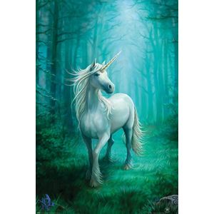 Anne Stokes Forest Unicorn plakát vícebarevný