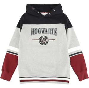 Harry Potter Kids - Hogwarts - England Made detská mikina s kapucí vícebarevný