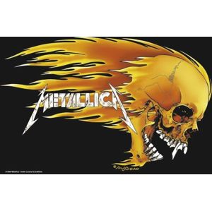 Metallica Skull & Flames vlajka vícebarevný