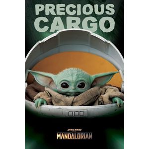 Star Wars The Mandalorian - Precious Cargo plakát vícebarevný