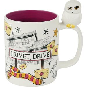 Harry Potter Hedwig & Privet Drive Hrnek vícebarevný