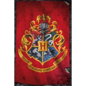 Harry Potter Hogwarts Flag plakát vícebarevný