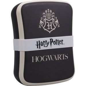 Harry Potter Hogwarts box na jídlo vícebarevný
