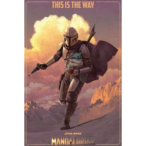 Star Wars The Mandalorian - (On the Run) plakát vícebarevný