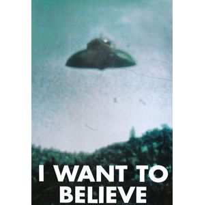 I Want To Believe I Want To Believe plakát vícebarevný