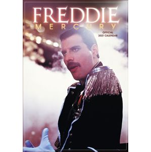 Queen Wandkalender 2021 - Freddie Mercury Nástenný kalendár vícebarevný