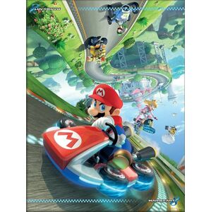 Super Mario Mario Kart 8 (Flip) Zarámovaný obraz vícebarevný