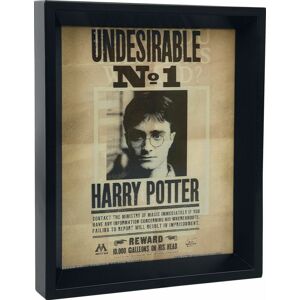 Harry Potter Potter / Sirius 3D Bild Zarámovaný obraz vícebarevný