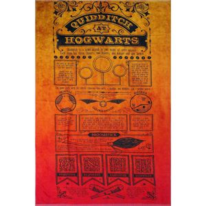 Harry Potter Quidditch osuška vícebarevný
