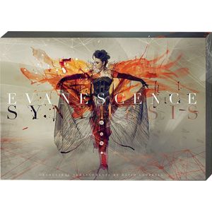 Evanescence CD & DVD standard