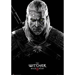 The Witcher 3 - Wild Hunt - Toxicity Poisoning plakát vícebarevný