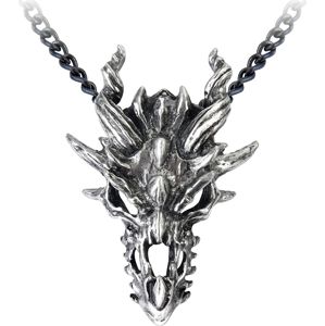 Alchemy Gothic Dragon Skull Náhrdelník - řetízek stríbrná