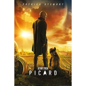 Star Trek Picard - Number One plakát vícebarevný