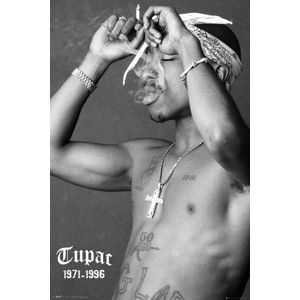 Tupac Shakur Smoke plakát vícebarevný