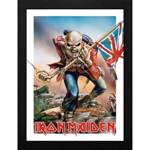 Iron Maiden Trooper Eddie Zarámovaný obraz standard