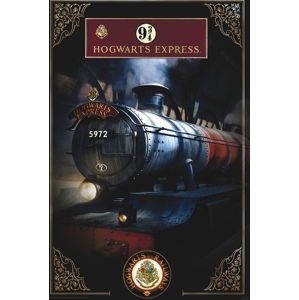 Harry Potter Hogwarts Express plakát vícebarevný