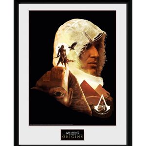 Assassin's Creed Origins - Face Zarámovaný obraz standard