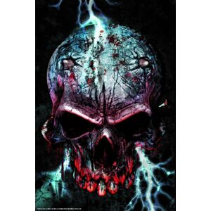Alchemy England Lightning Skull plakát standard