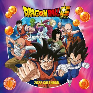Dragon Ball Nástěnný kalendář Super - 2022 Nástenný kalendář vícebarevný