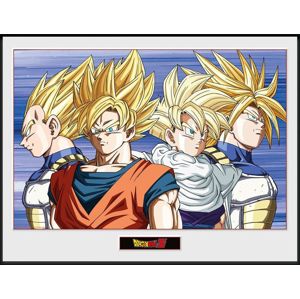 Dragon Ball Z - Group Zarámovaný obraz standard