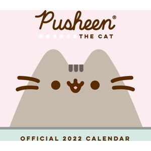 Pusheen Nástěnný kalendář 2022 Nástenný kalendář vícebarevný