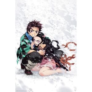 Demon Slayer Tanjiro & Nezuko Snow plakát vícebarevný