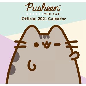 Pusheen Wandkalender 2021 Nástenný kalendár vícebarevný