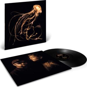 Royal Blood Back to the water below LP standard