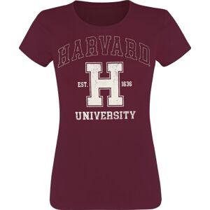 University Harvard Dámské tričko červená