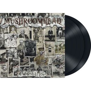 Mushroomhead A wonderful life 2-LP standard