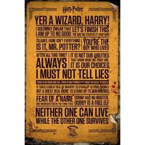 Harry Potter Quotes plakát vícebarevný