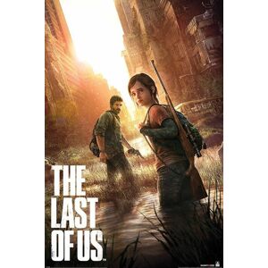 The Last Of Us Ellie & Joel plakát vícebarevný