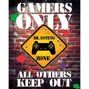 Gamers Only Controller - Keep Out Mini standard