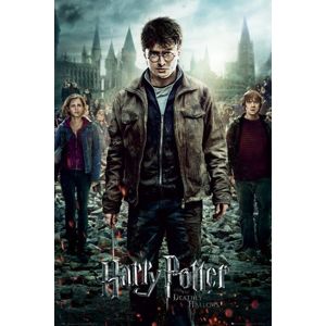 Harry Potter Deathly Hallows plakát vícebarevný