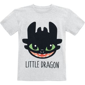 Drachenzähmen leicht gemacht Little Dragon detské tricko popelavá
