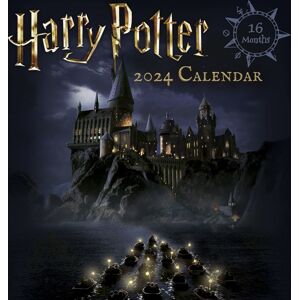 Harry Potter Kalendář na zeď 2024 Nástenný kalendář vícebarevný