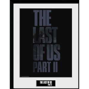 The Last Of Us 2 - Logo Zarámovaný obraz standard