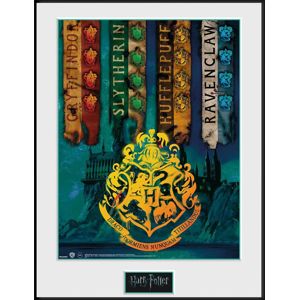 Harry Potter House Flags Zarámovaný obraz standard