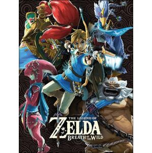 The Legend Of Zelda Breath Of The Wild - Champions Zarámovaný obraz vícebarevný