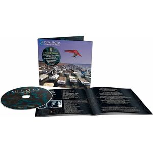 Pink Floyd A momentary lapse of reason CD standard